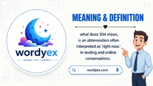 Infographic from wordyex titled 'Meaning & Definition' explaining that the slang 304 is often used as a derogatory term in online conversations, featuring a professional character and the wordyex brand logo."