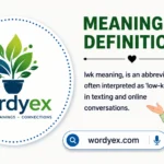 What does lwk mean? Low-Key Slang Meaning & Origin (2026 Guide)