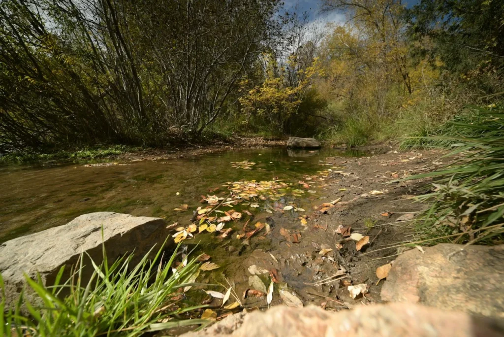 Quiet on the Creek Meaning: What Does It Mean? (2026)