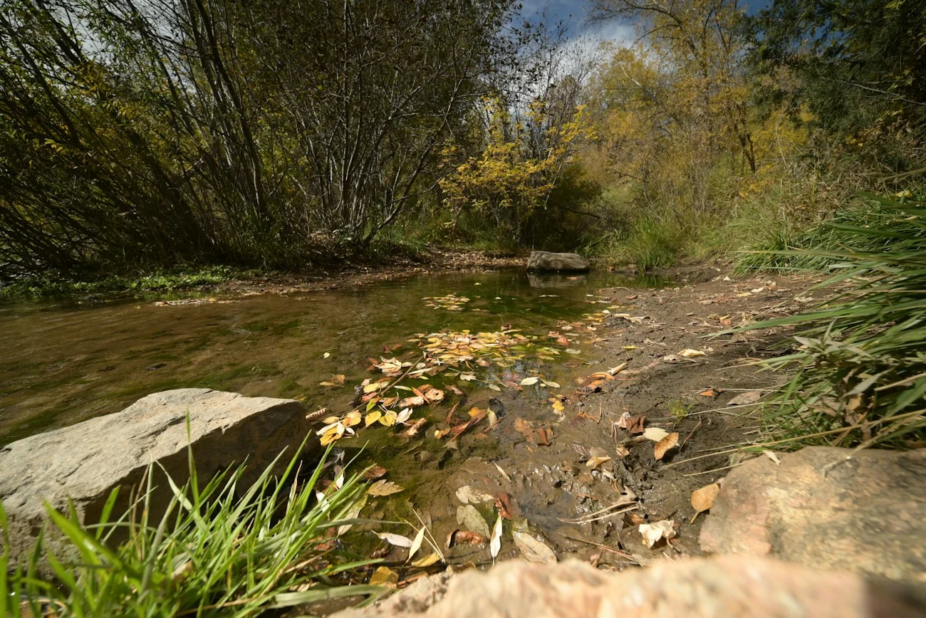 Quiet on the Creek Meaning: What Does It Mean? (2026)